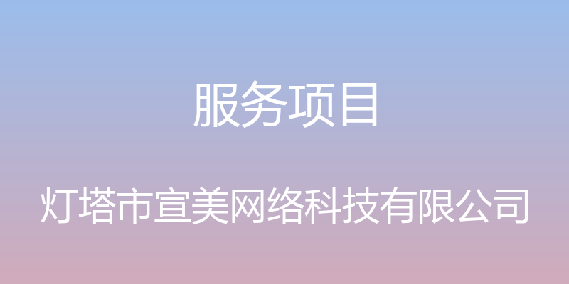 服务项目 - 灯塔市宣美网络科技有限公司